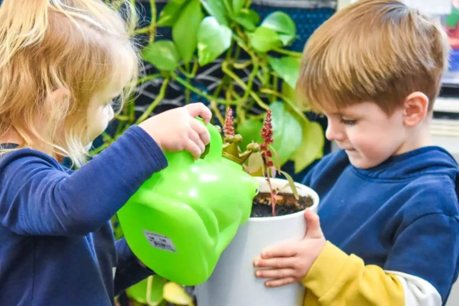 ISD Elementary School pupils watering flowers together.