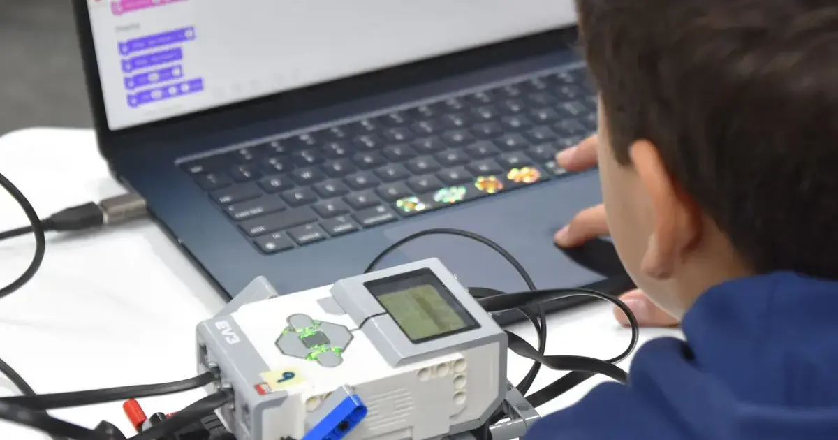 Elementary student using computer